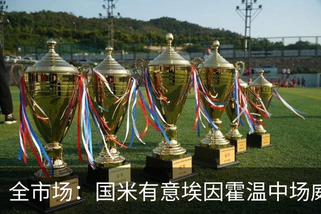 全市场：国米有意埃因霍温中场威尔曼，估值2500万到3000万欧之间